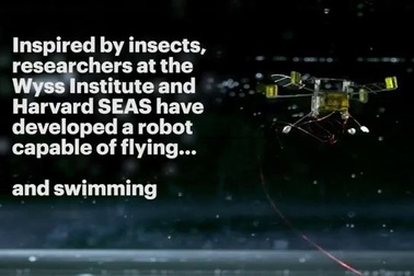 Rô-bốt ong phiên bản mới với nhiều cải tiến