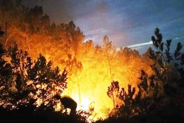 Ngăn cháy rừng, người đàn ông bị lửa thiêu tử vong