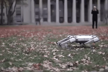 Xem robot 4 chân trổ tài bật nhảy lộn ngược