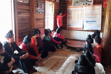 Những búi tóc tằng cẩu chăm chú nghe từng dòng tin thời tiết