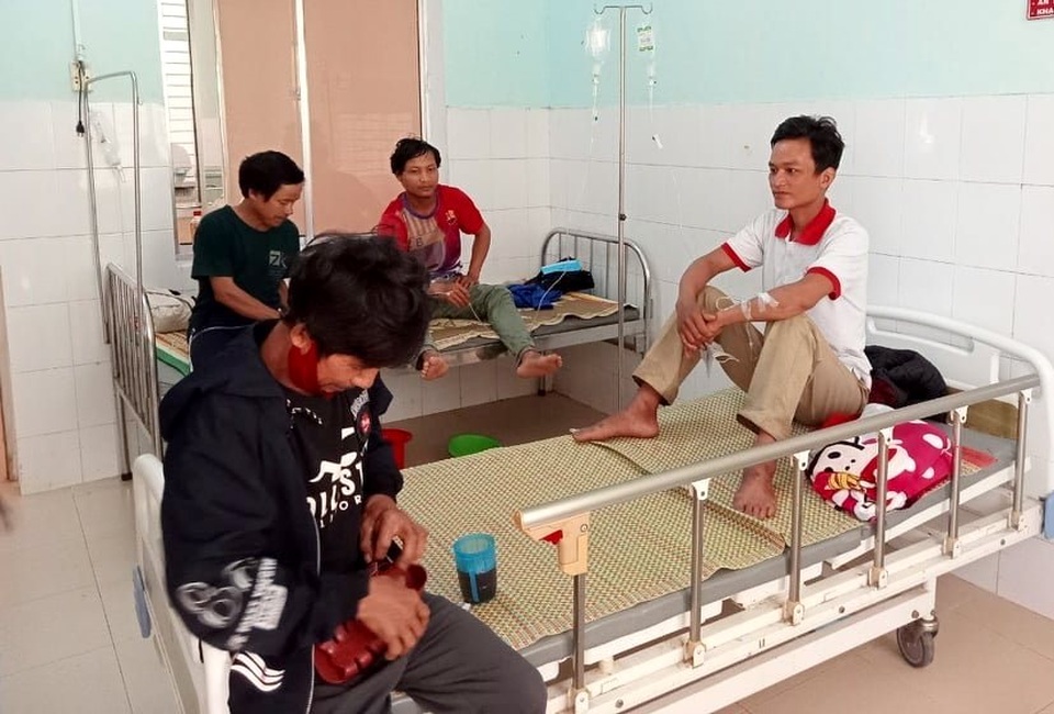 Ăn nấm lạ hái trong rừng, 5 người bị ngộ độc - 1 Ăn nấm lạ hái trong rừng, 5 người bị ngộ độc - 1