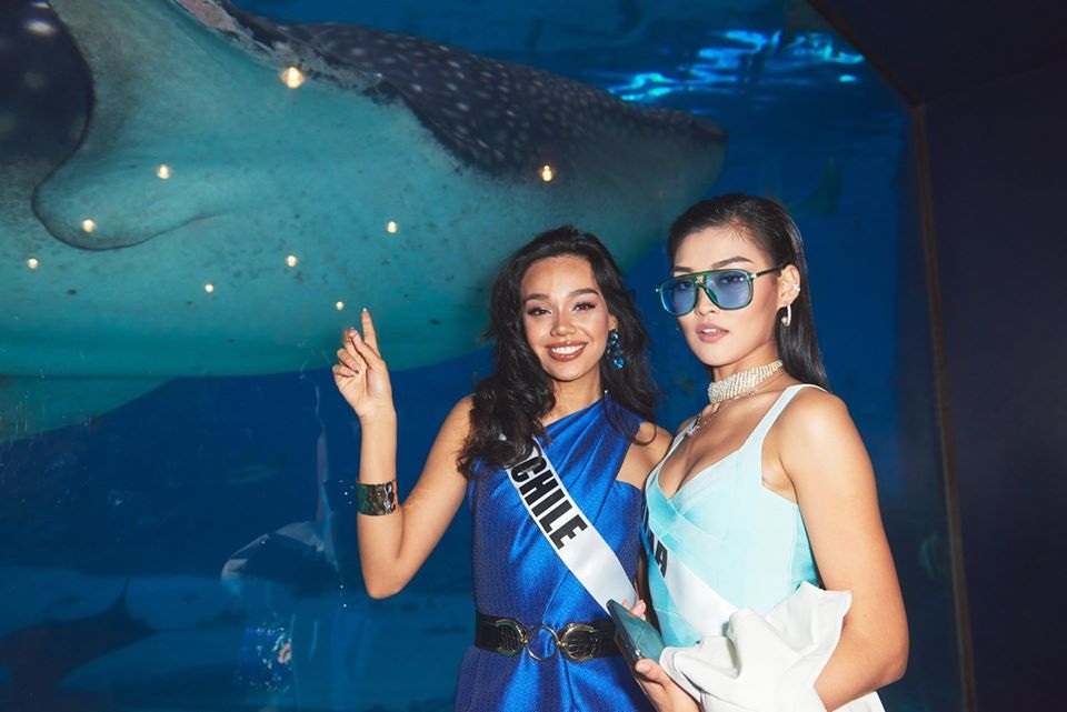 Ra mắt mẫu vương miện mới dành cho Hoa hậu Hoàn vũ 2019 - 22 Ra mắt mẫu vương miện mới dành cho Hoa hậu Hoàn vũ 2019 - 22