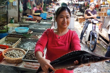 Phát hiện mẫu cá tầm nhiễm chất cấm