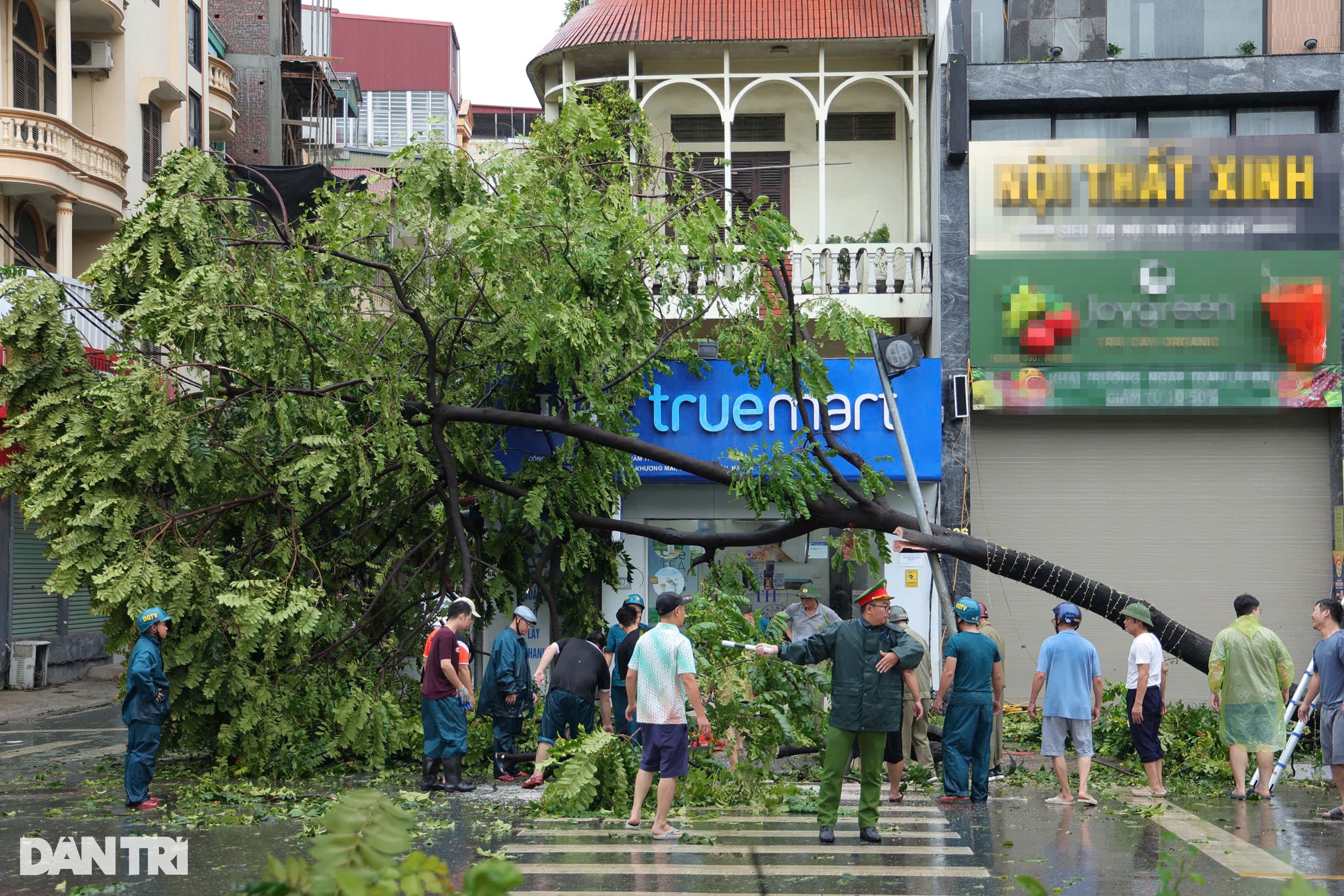 View - Hà Nội khẩn trương thu dọn cây đổ, khắc phục hậu quả sau bão | Báo Dân trí