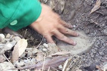 Vụ 300 xác thai nhi: Không khởi tố vụ án hình sự