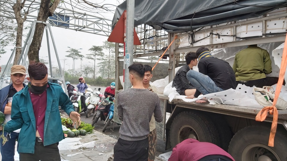 Dân Hà Nội đổ xô mua dưa hấu giải cứu nông dân các tỉnh phía Nam - 7 Dân Hà Nội đổ xô mua dưa hấu giải cứu nông dân các tỉnh phía Nam - 7