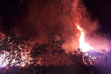 Đám cháy rừng lan rộng trong đêm, hàng trăm người lăn mình dập lửa