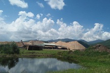 Dân kêu cứu vì khổ sở với hai nhà máy chế biến gỗ dăm tại Quảng Bình!