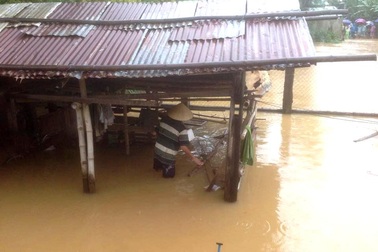 Đưa heo đi tránh lũ, một người bị điện giật tử vong