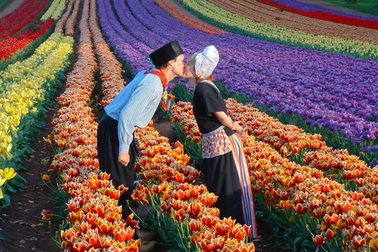 Vietrantour giảm đến 9 triệu đồng 999 suất tour mùa Thu