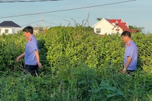 Thi thể bé gái bị bắt cóc, sát hại được phát hiện như thế nào?