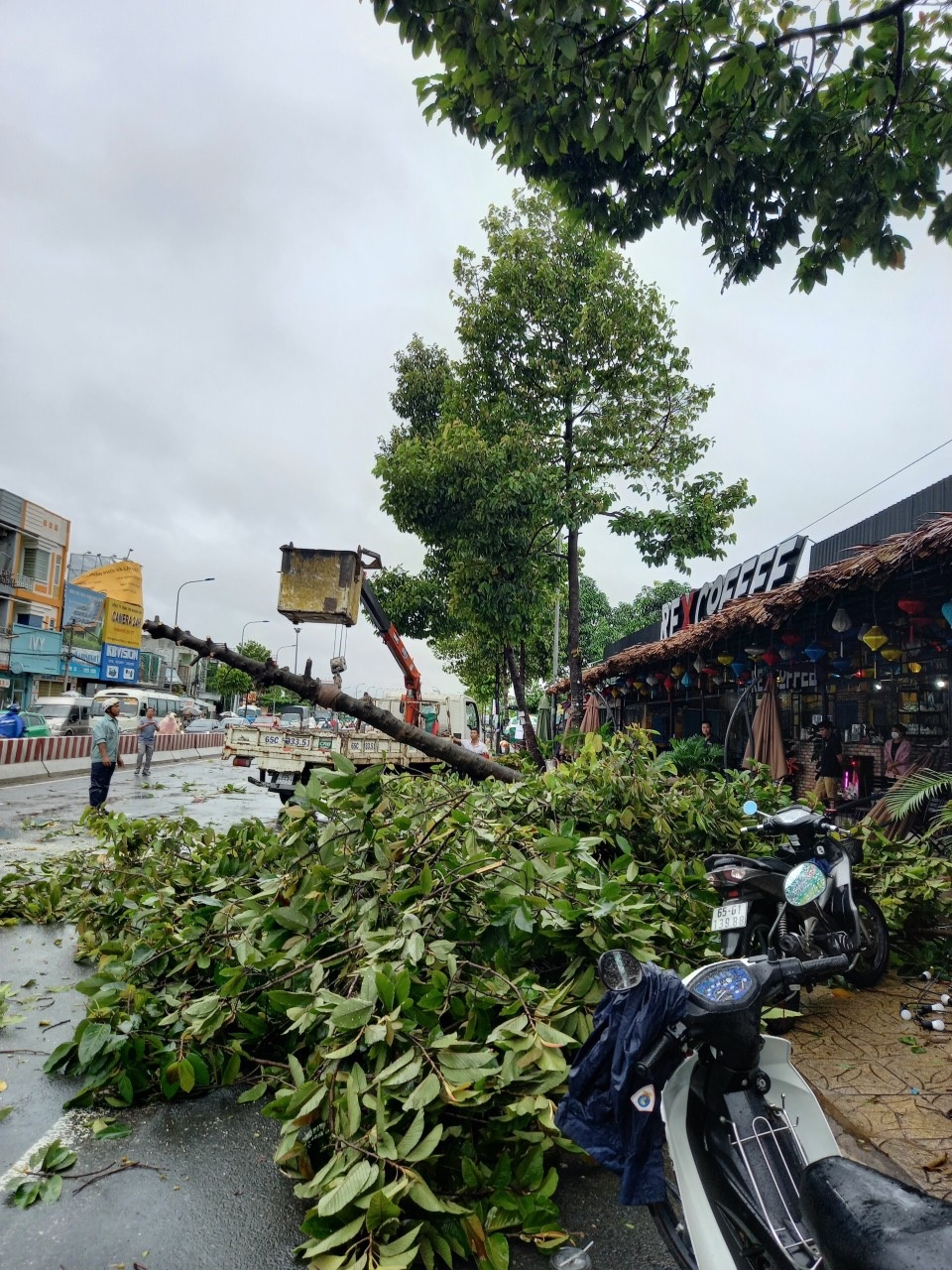 Mưa giông làm tốc mái, xiêu vẹo 17 căn nhà, bật gốc nhiều cây xanh - 5 Mưa giông làm tốc mái, xiêu vẹo 17 căn nhà, bật gốc nhiều cây xanh - 5