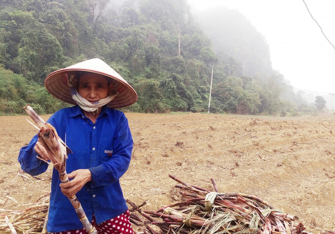 Moong Lồ hay chuyện về con hổ kỳ vĩ nhất Đất Việt - 2