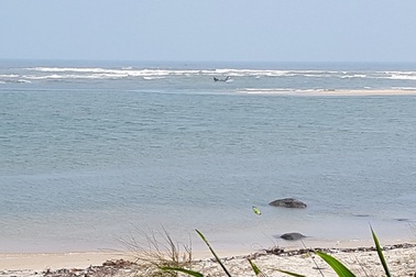 Chấm dứt dự án nạo vét cửa biển của doanh nghiệp “chỉ hút vùng cát đẹp”