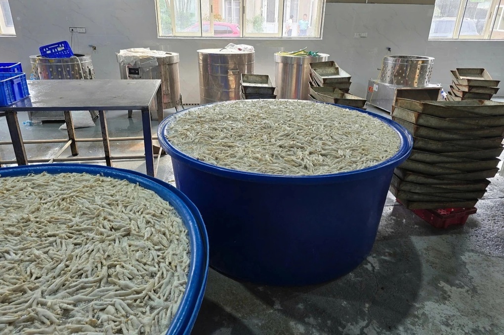 Phát hiện 13,5 tấn chân gà ngâm hóa chất độc hại - 2