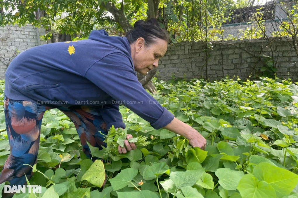 Cuộc sống khốn khổ của nữ sinh lớp 6 mồ côi mẹ, bố bỏ đi biệt tích - 5 Cuộc sống khốn khổ của nữ sinh lớp 6 mồ côi mẹ, bố bỏ đi biệt tích - 5
