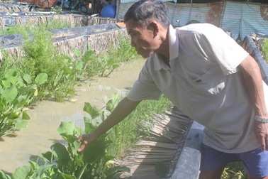 Thu hơn 1 tỷ đồng/năm nhờ mô hình sản xuất lươn giống