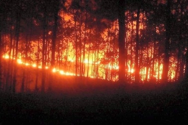 Hàng trăm người tham gia chữa cháy rừng trong đêm