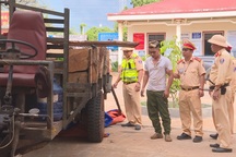 Công an nổ súng bắt giữ đối tượng lái xe chở gỗ lậu lao thẳng vào CSGT