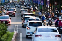 Giàu nhờ "cây tỷ đô", nông dân một huyện sắm hơn 1.000 ô tô