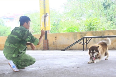 Những nghề nhàn nhã kiếm tiền tỷ khó tin ở Hà Nội