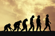 Trí tuệ nhân tạo đã bắt chước thành công quá trình tiến hóa của con người