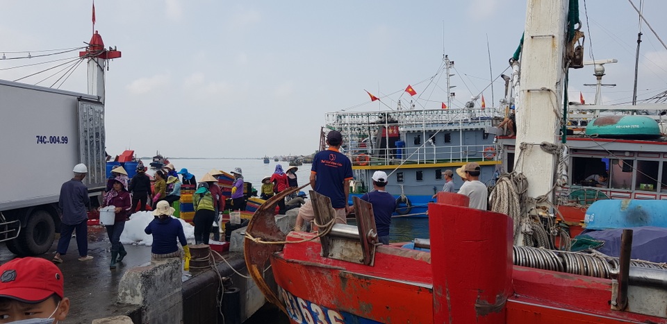 Quảng Trị: Ngư dân thu gần trăm triệu đồng nhờ trúng “lộc biển” đầu năm - 2 Quảng Trị: Ngư dân thu gần trăm triệu đồng nhờ trúng “lộc biển” đầu năm - 2