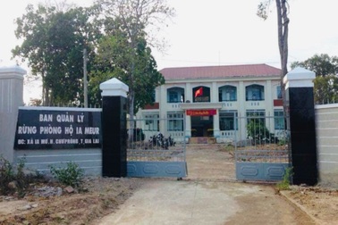 Nhân viên bảo vệ rừng bị dọa "giết cả nhà"