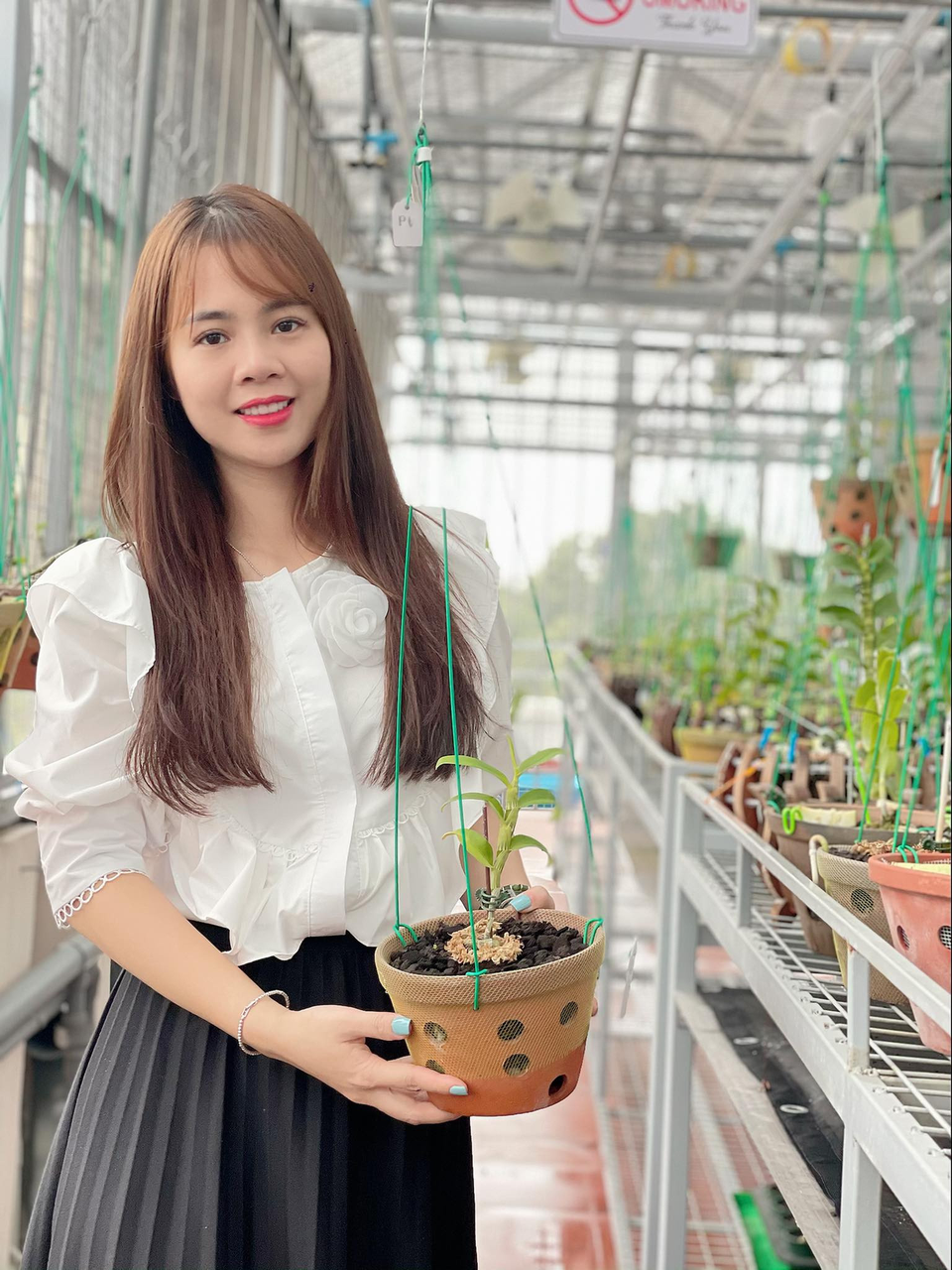 Nghệ nhân Lê Hải Yến chia sẻ bí quyết trồng lan đơn thân nhanh ra rễ - 1 Nghệ nhân Lê Hải Yến chia sẻ bí quyết trồng lan đơn thân nhanh ra rễ - 1
