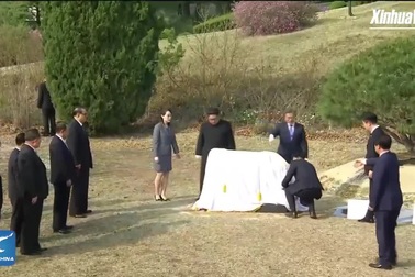 Lãnh đạo Hàn - Triều trồng cây thông lưu niệm