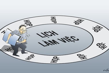 Họp liên miên, họp trường kỳ, họp vạn tuế, vạn tuế, vạn vạn tuế!