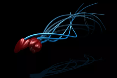 Tinh trùng đã… đánh lừa các nhà khoa học về cách di chuyển hàng trăm năm