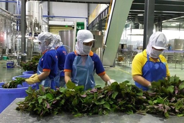 Doanh nghiệp cung cấp nước bổ sung dinh dưỡng cho y bác sĩ, bệnh nhân chống dịch Covid-19