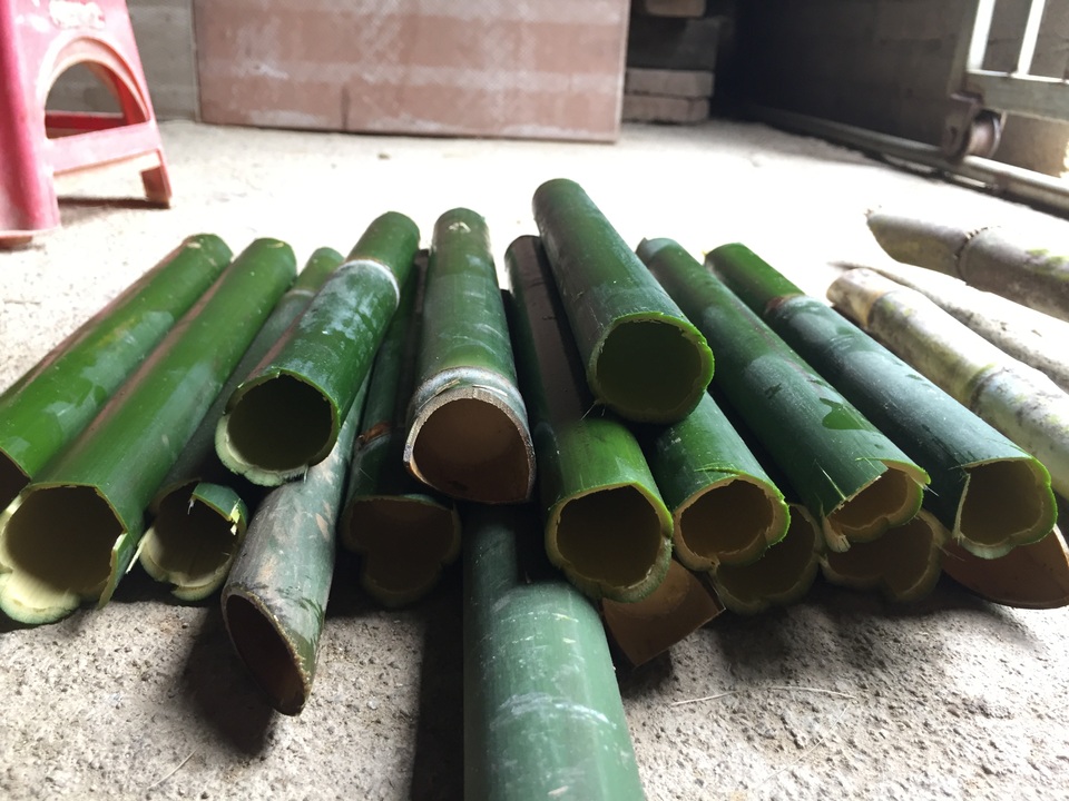 Thu nhập bất ngờ từ mô hình nuôi con “thích bóng tối” - 2 Thu nhập bất ngờ từ mô hình nuôi con “thích bóng tối” - 2