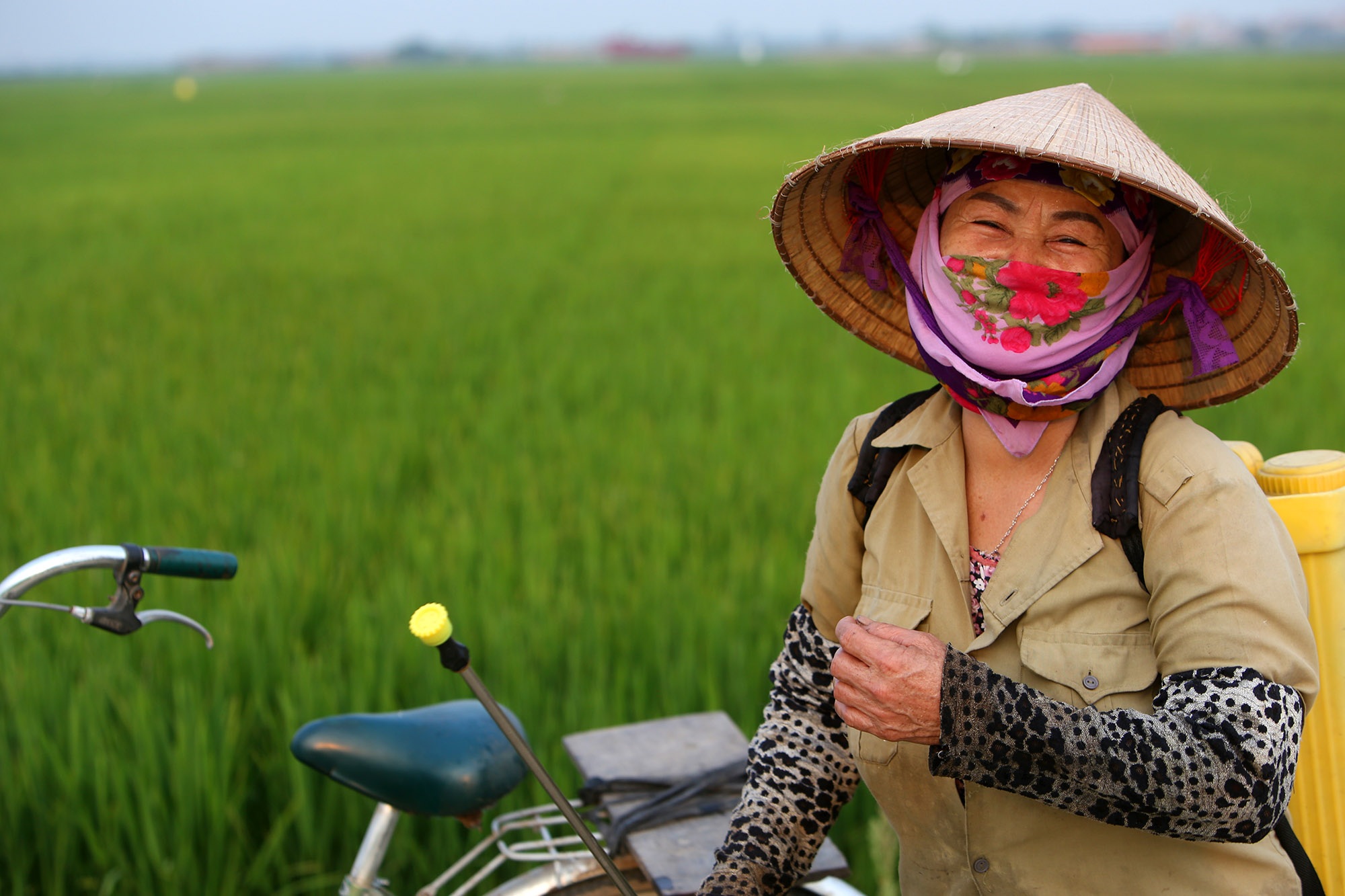 Đẹp nao lòng cảnh chiều muộn ở vùng thôn quê thanh bình giữa Hà Nội - 5