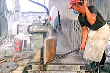 Một số vướng mắc trong triển khai Nghị quyết 68/NQ-CP tại Nghệ An