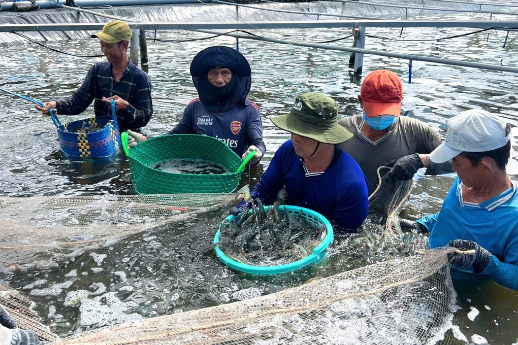 Miền Tây có tỷ lệ lao động nông nghiệp cao nhất nước - 1 Miền Tây có tỷ lệ lao động nông nghiệp cao nhất nước - 1