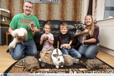 Mang cả "sở thú" vào nhà