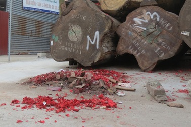 Huyện Ninh Giang báo cáo về tình trạng đốt pháo dịp tết