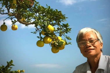 Ngắm dàn bonsai ngược của "dị nhân" xứ Quảng