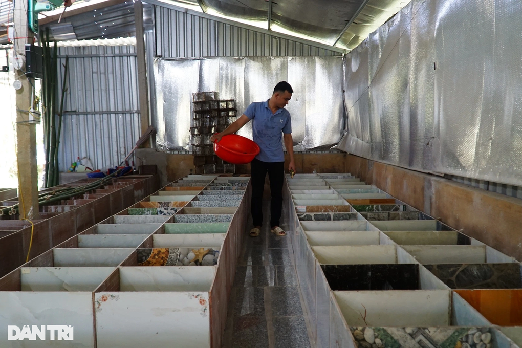 Khởi nghiệp với 6 triệu đồng, sau 2 năm có thu nhập khiến nhiều người mơ - 4 Khởi nghiệp với 6 triệu đồng, sau 2 năm có thu nhập khiến nhiều người mơ - 4