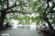 Mở cửa Du lịch: Tránh tình trạng "nay mở, mai lại đóng"