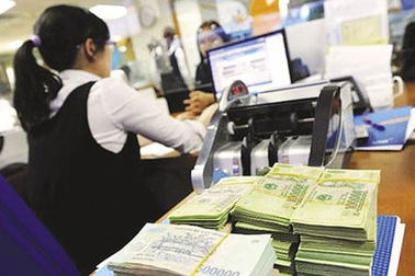 Doanh nghiệp xuất khẩu hàng trăm tỷ, nhân viên "lèo tèo" bị nghi gian lận thuế