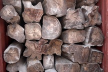 Bắt 50 container gỗ quý nghi nhập lậu từ Châu Phi