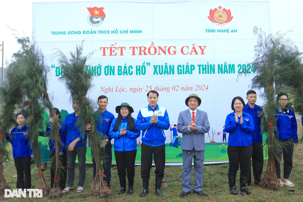 Trồng hơn 10.000 cây phi lao trên rừng phòng hộ ven biển Nghệ An - 1 Trồng hơn 10.000 cây phi lao trên rừng phòng hộ ven biển Nghệ An - 1
