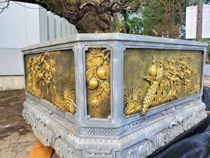100 triệu đồng thuê đào rừng cổ thụ độc nhất Hà Nội chơi Tết - Ảnh 6. 100 triệu đồng thuê đào rừng cổ thụ độc nhất Hà Nội chơi Tết - Ảnh 6.