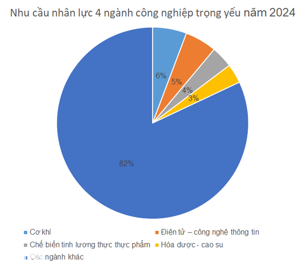 TPHCM cần thêm 300.000 lao động, chỉ 13% là lao động phổ thông - 2