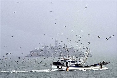 “Tàu của Hàn Quốc đã xâm nhập sâu vào lãnh hải Triều Tiên” 