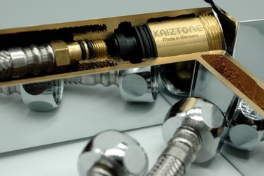 Sen vòi Kaiztone an toàn cho sức khỏe người sử dụng