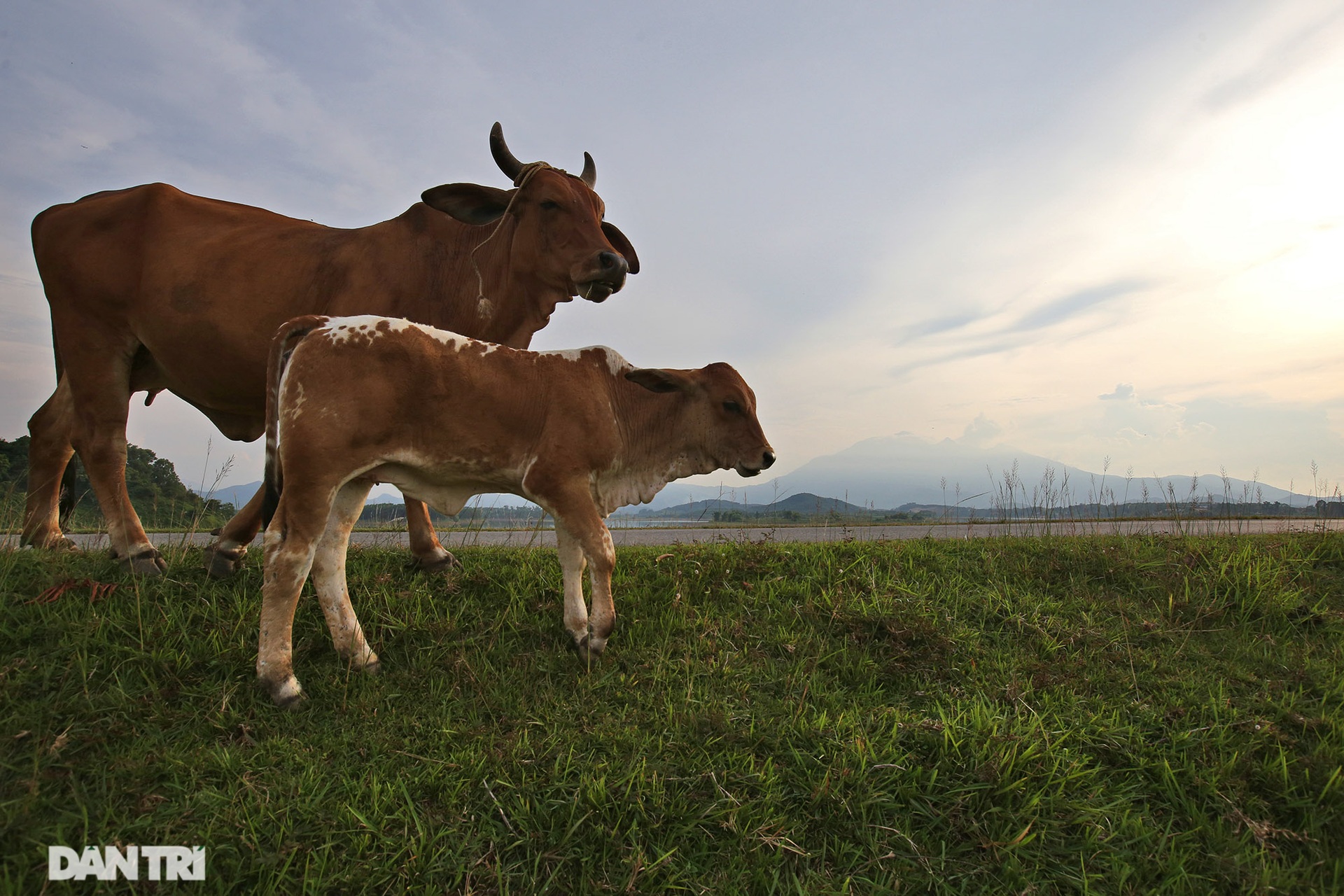 Phong cảnh đặc trưng của vùng đất xứ Đoài mây trắng - 5